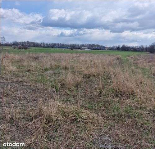 Działka, 604 m², Wola - Pełny obrazek: 5/6