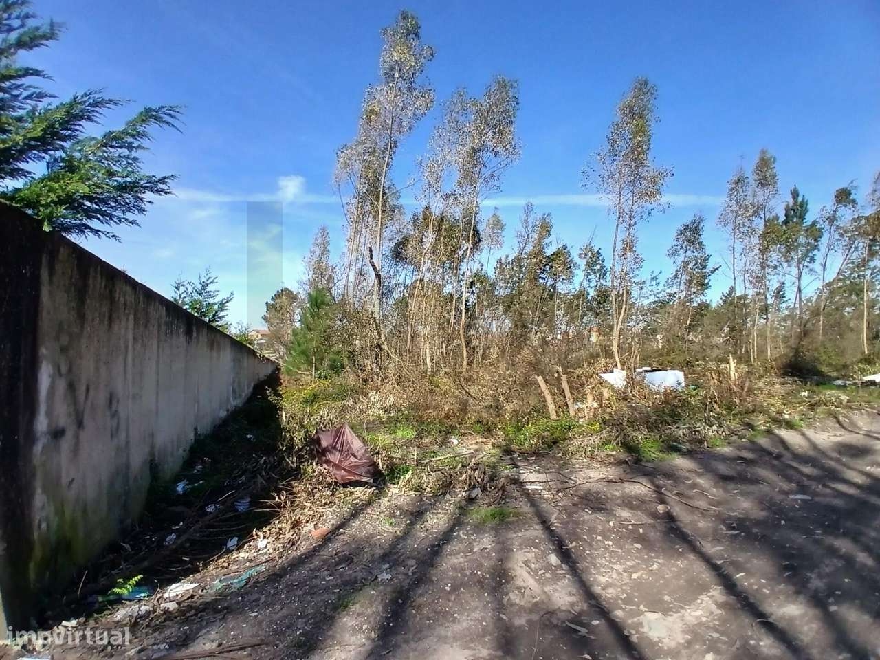 Terreno com 10.712 m2 – Embra, Marinha Grande - Grande imagem: 5/27