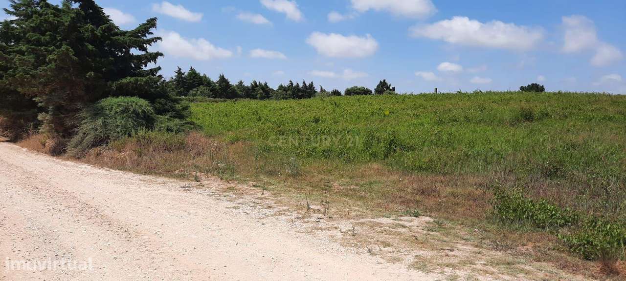 Oportunidade Única em Carvalhal, Bombarral: Terreno com possibilidade - Grande imagem: 4/5