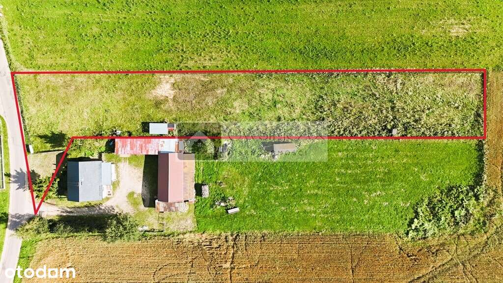 Atrakcyjna, ogrodzona działka rolno-budowlana - Pełny obrazek: 4/7