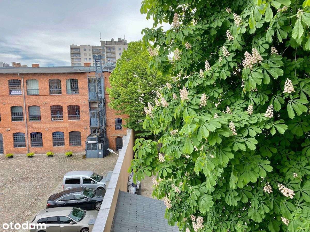 WILDA | 3 pokoje | Wysoki Standard | Rewitalizowana kamienica | LOFT-13