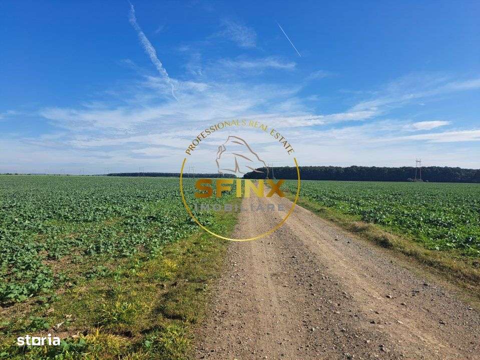 Teren intravilan Branesti 27000 mp km 12 Autostrada A2-1