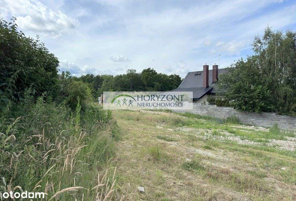 Czaple - dwie działki do wyboru - Pełny obrazek: 5/5