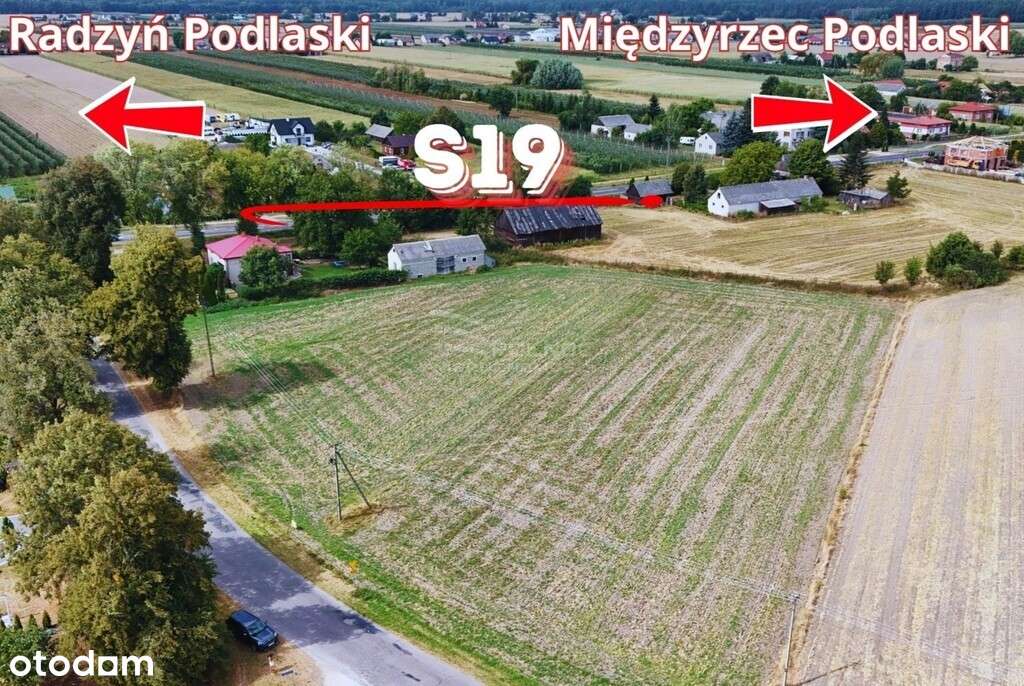 Działka gotowa pod zabudowę Turów k. Kąkolewnicy - Pełny obrazek: 4/7