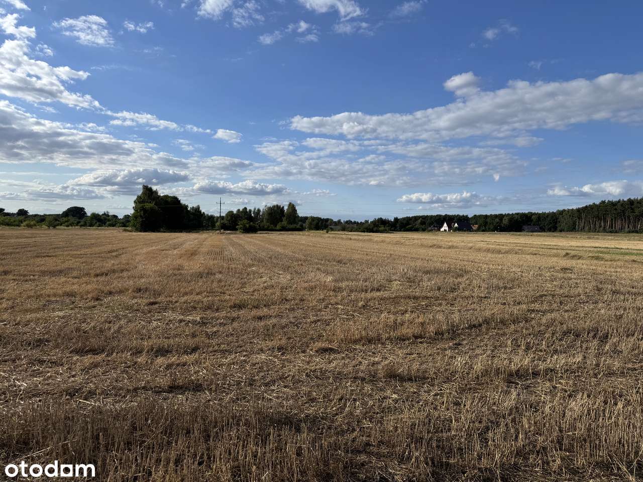 Działka 1000 m² z dostępem do mediów - Pełny obrazek: 4/4