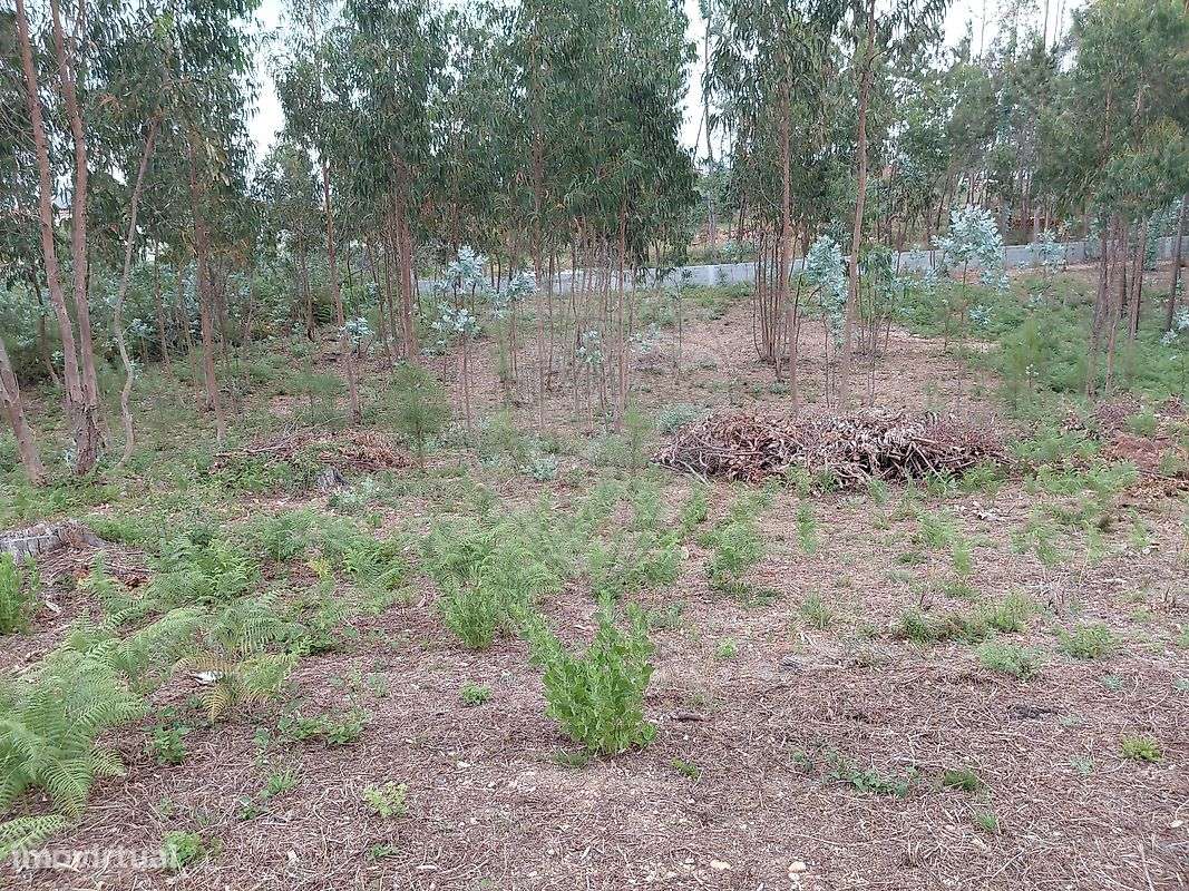 Terreno para venda - Mais