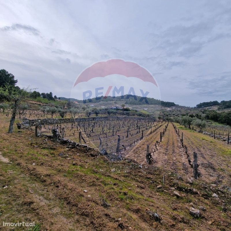 Terreno  para venda