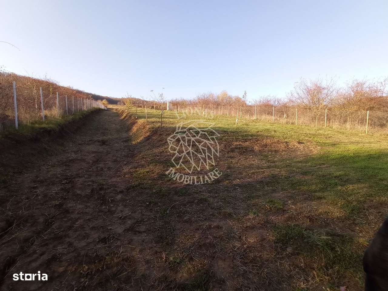 Teren intravilan 2700 mp-ideal case/investitie-Viisoara - Imagine principală: 2/6