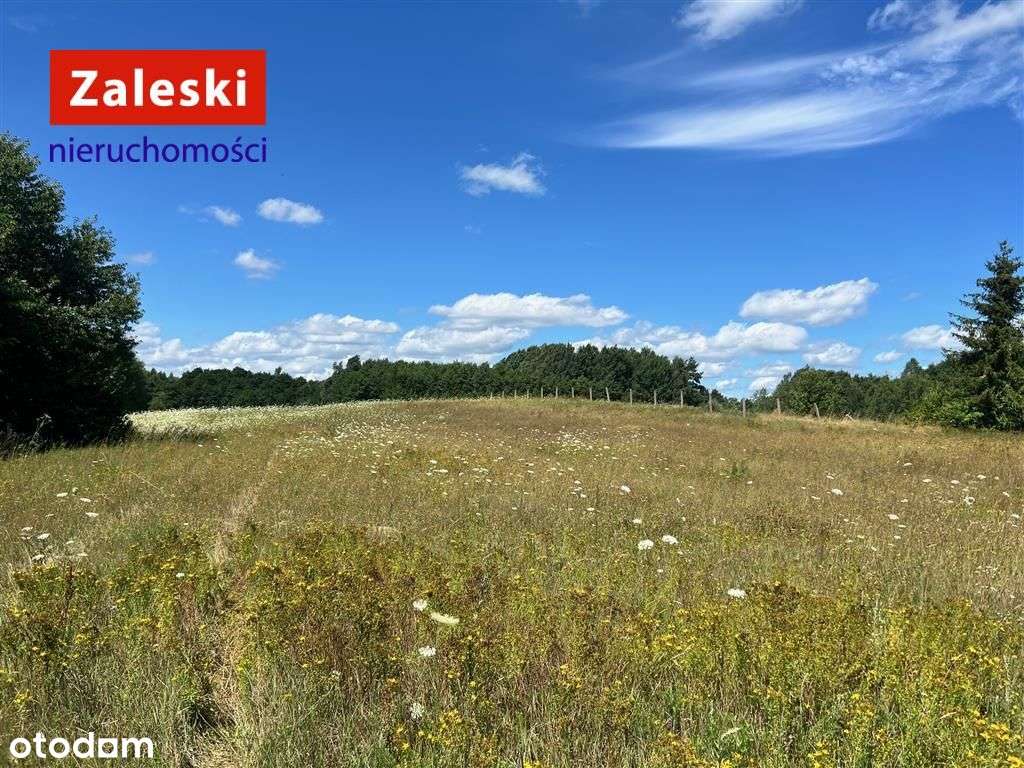 Działka z wydaną Wz - Szczodrowo - Pełny obrazek: 4/11