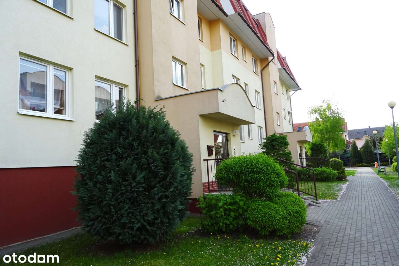 Ogrodzona posesja - PARTER - Nowy Rządz !-6