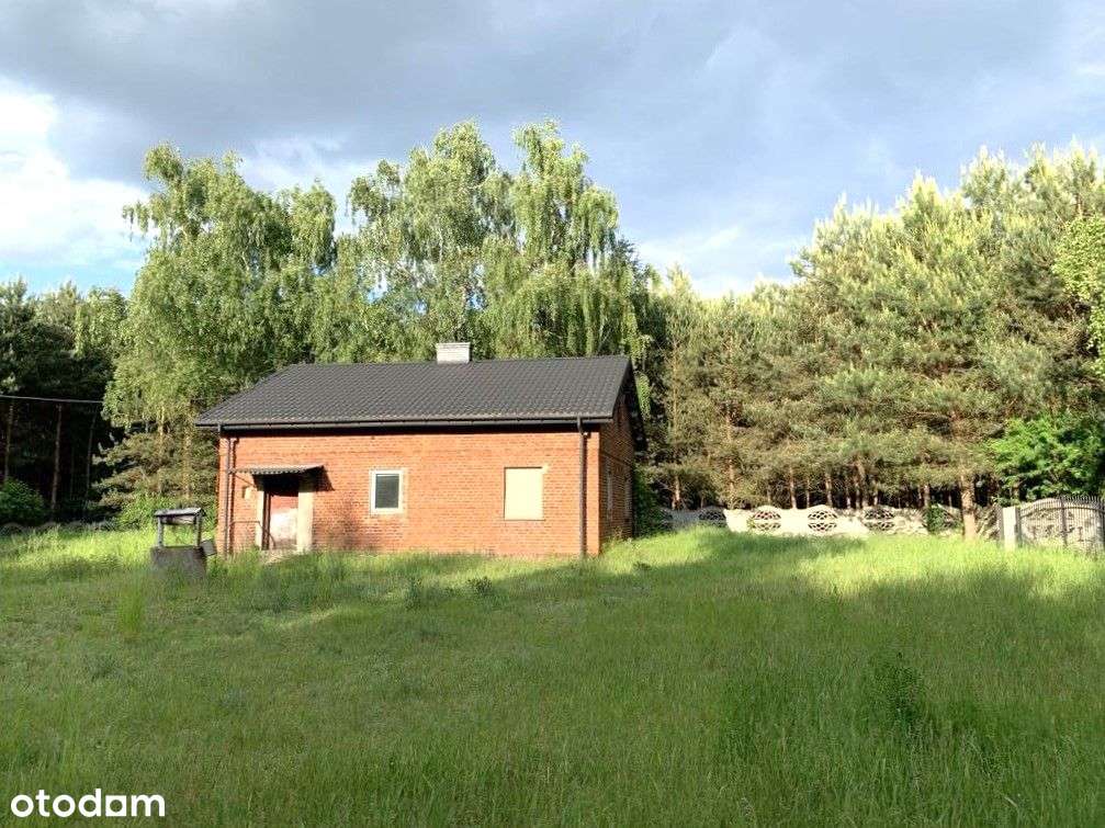 dom w środku lasu gm. Izbica Kujawska woj Kujawsko-11