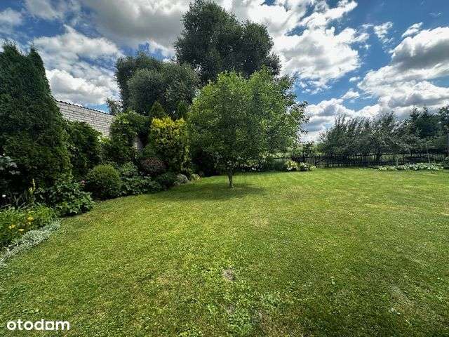 Dom 90m2 + budynek gosp. 90m2 , 41 ar, Rychłocice - Pełny obrazek: 5/13