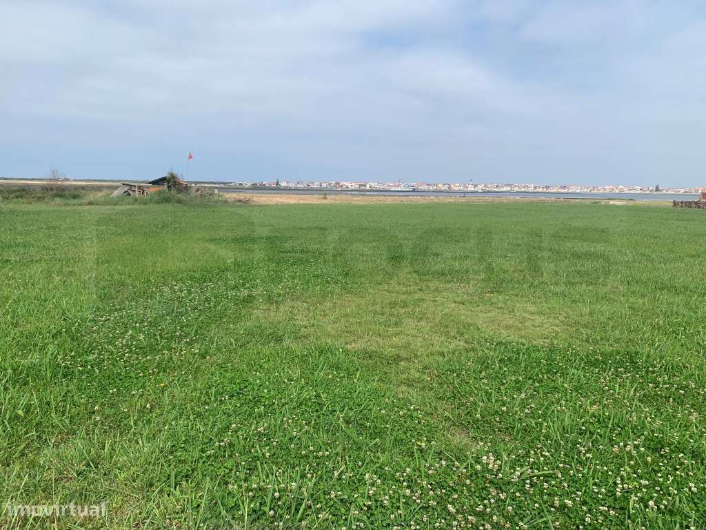 Terreno frente á ria com vistas desafogadas sobre a Costa Nova - Ga... - Grande imagem: 5/6