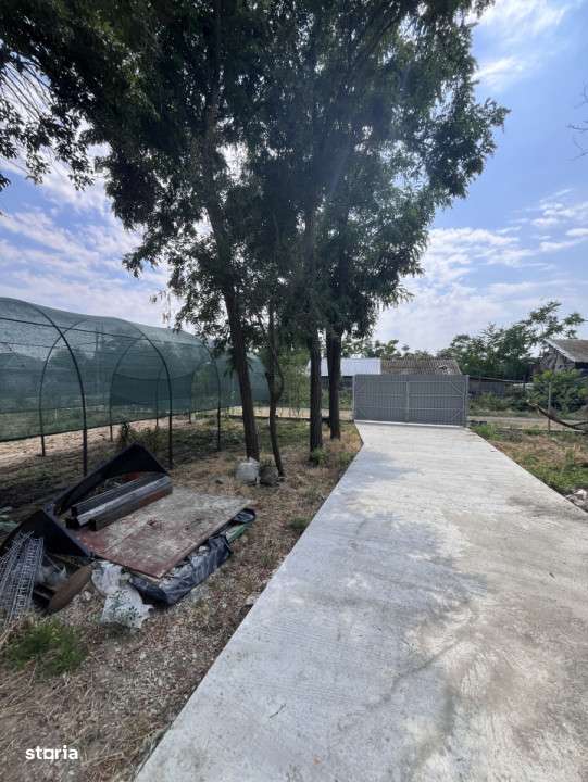 Casa de vacanta - Munteni Buzau - Jutetul Ialomita - Curte 2000mp - Imagine principală: 4/15