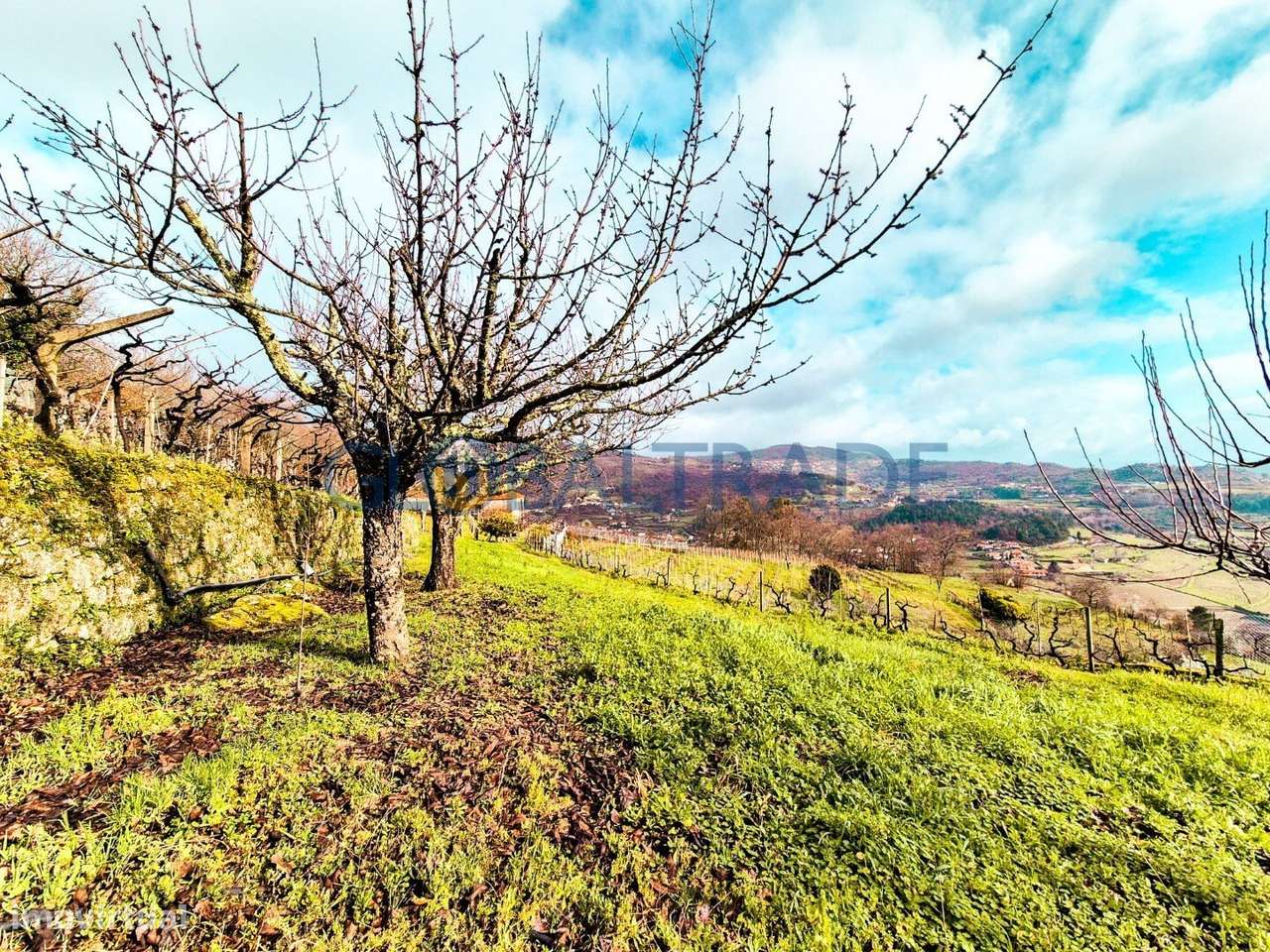 Quinta com 5250 m² & Moradia T1 em Pedra – Baião-43