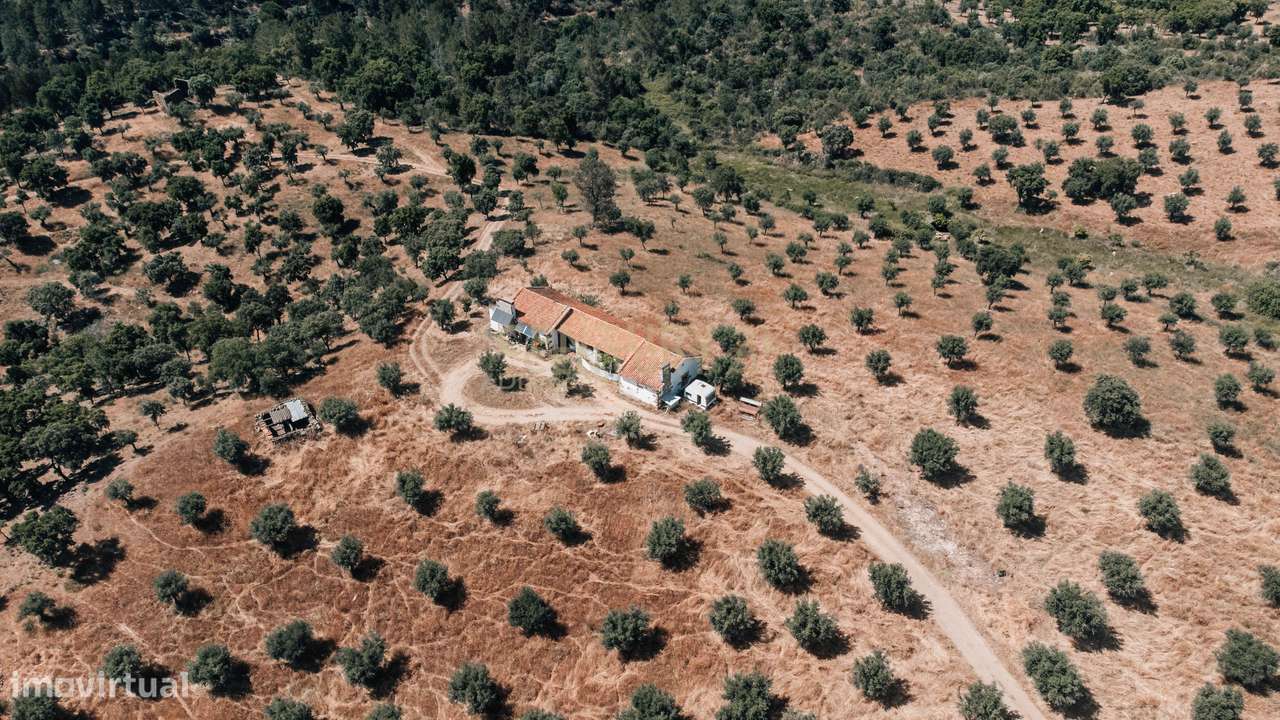 Quinta 54ha, Escalos de Baixo, Castelo Branco - Grande imagem: 5/60