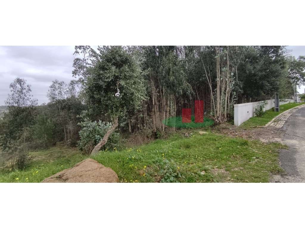 Terreno - Casal das Freiras - Grande imagem: 4/12