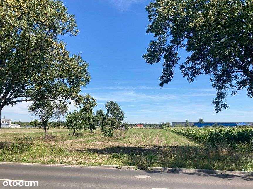 OBNIŻKA CENY!!! Działka w strefie inwestycyjnej, Leszno-Wilkowicka - Pełny obrazek: 4/5