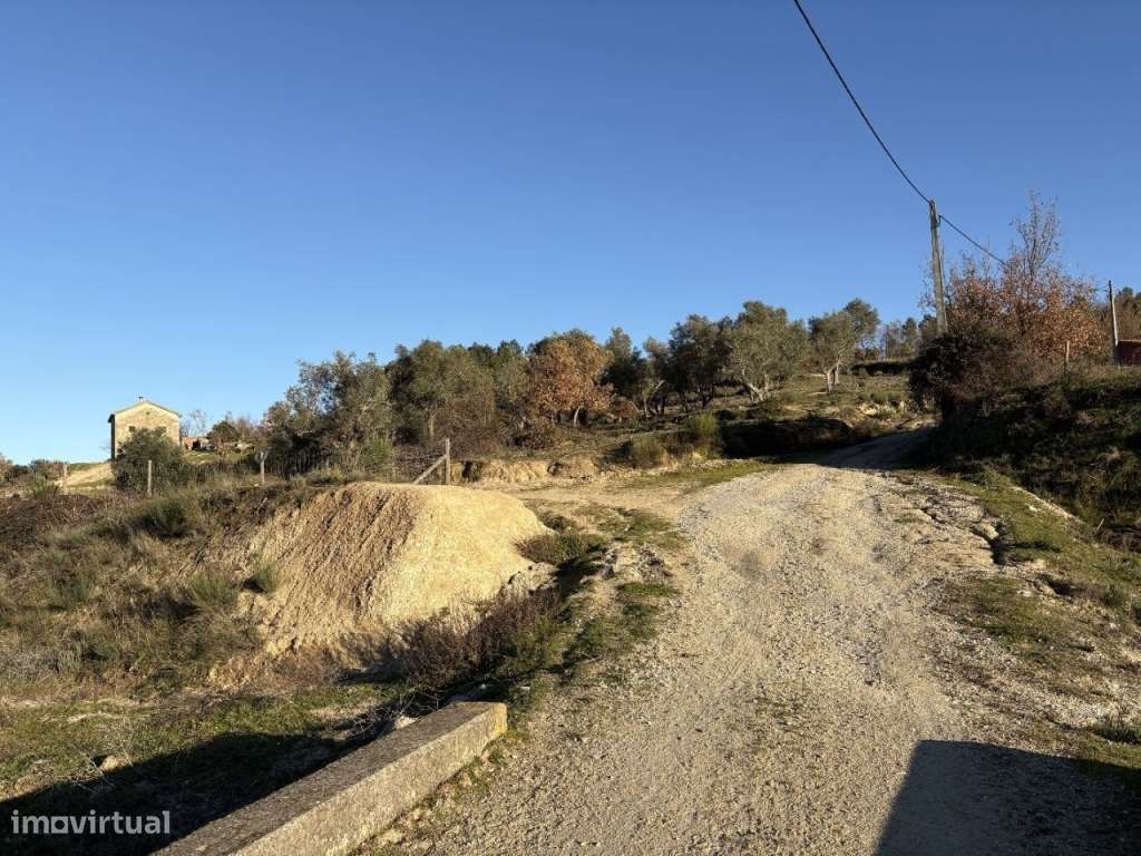 Quinta com casa em pedra para recuperar-16