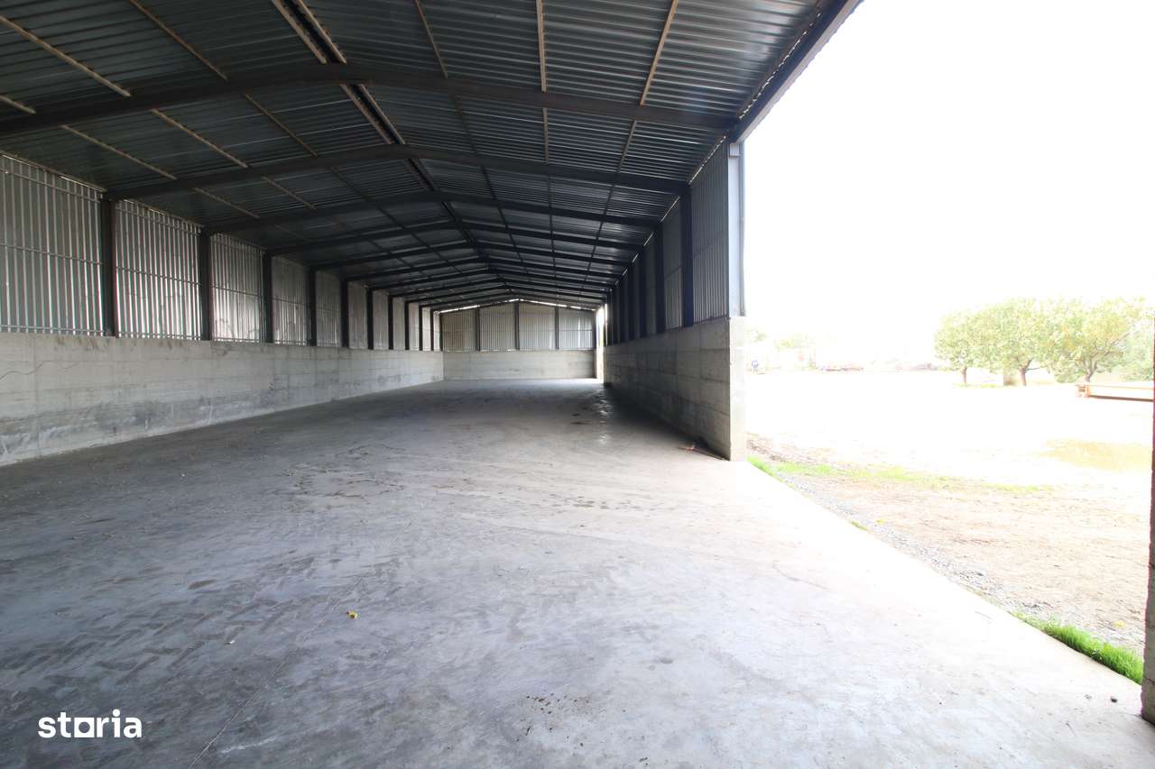Baza de cereale in functiune , 4500 mp intravilan + 2 depozite-6