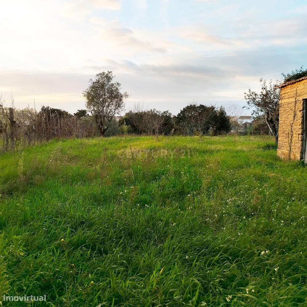 Terreno em Pouca pena - Soure - Grande imagem: 2/14