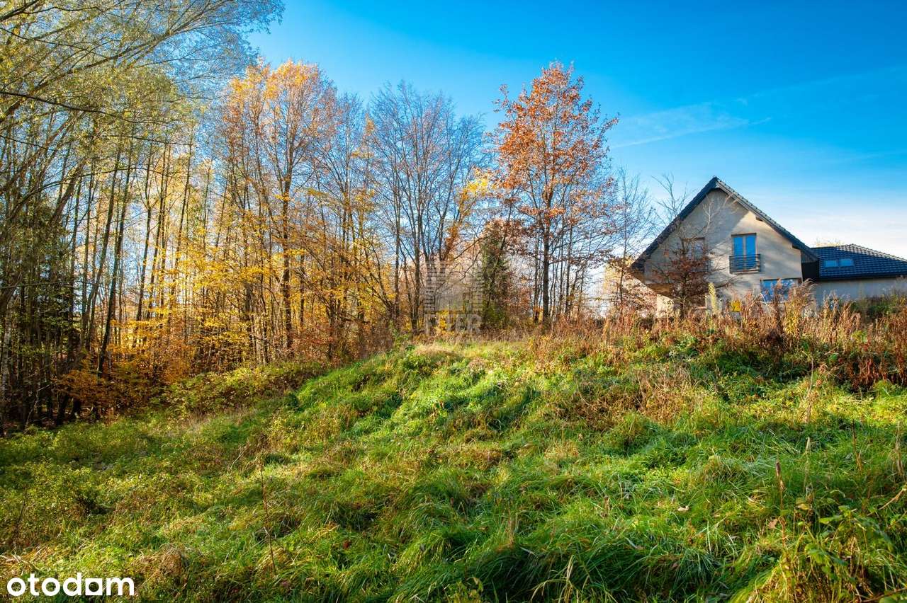 Dwie dziaki budowlane w Nowym Wiśniczu - Pełny obrazek: 4/15