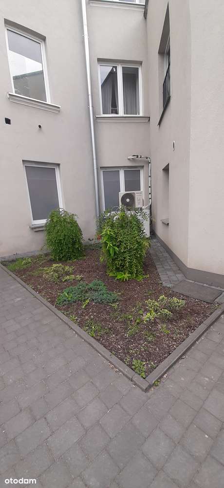 Okolice Politechniki Kawalerka z antresolą i miejscem parkingowym-9