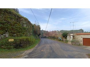 Mata / Pinhal em Póvoa de Lanhoso - Grande imagem: 4/4