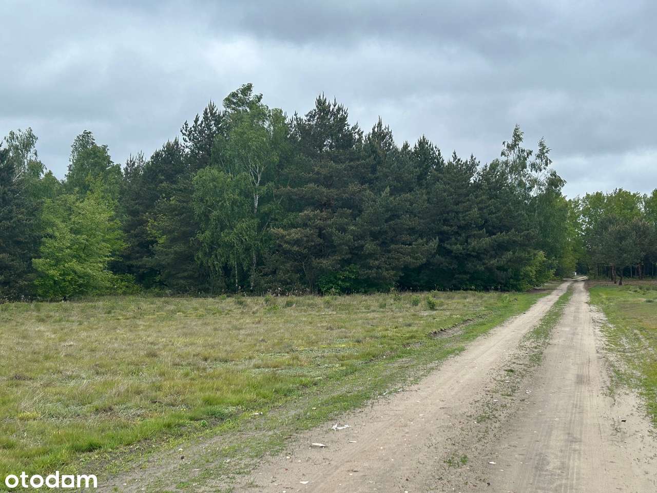 Łacha – 1330 m² pod dom, dobry dojazd, blisko lasu i Narwi - Pełny obrazek: 4/10