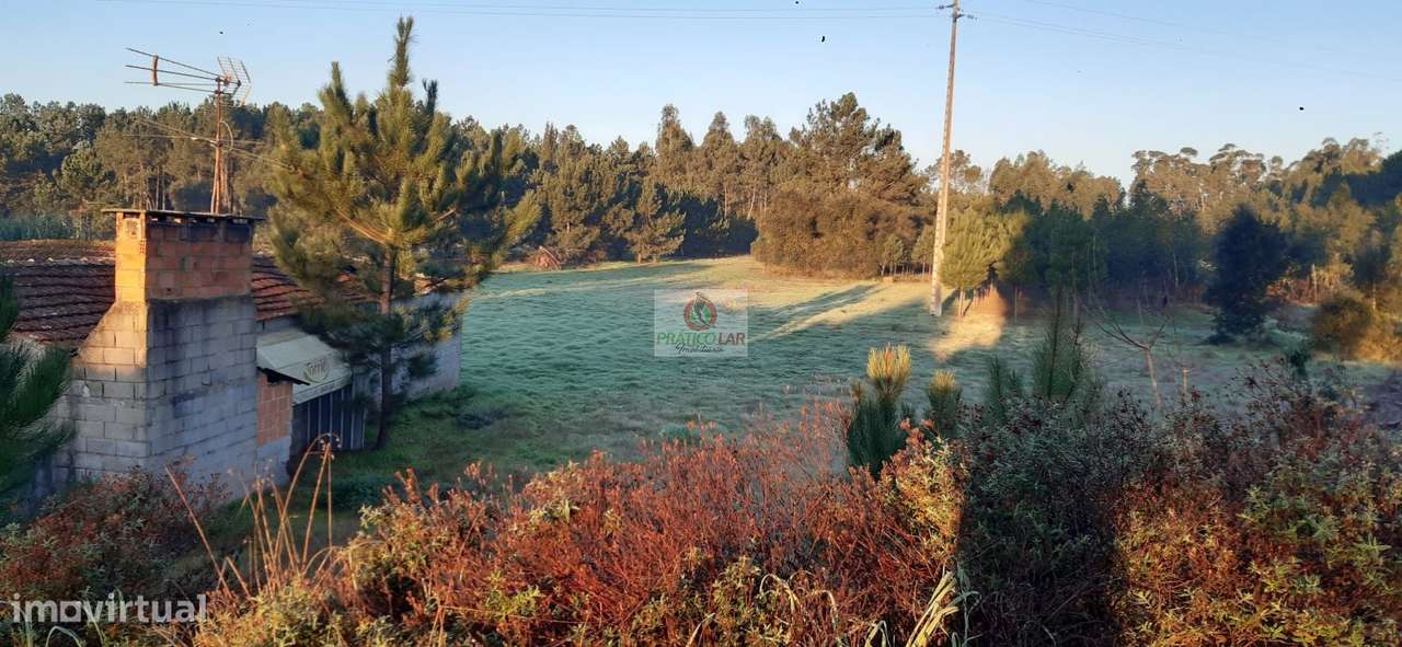 Terreno c viabilidade p construção Oliveira do Bairro - Grande imagem: 3/11