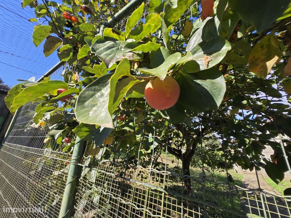 Moradia Encantadora em Almornos - Natureza, Tranquilidade e Conforto!-33