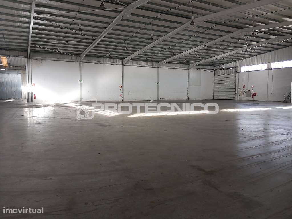 Armazém c/ 1000m2 - Z. I. Albergaria-a-Velha - Grande imagem: 4/23