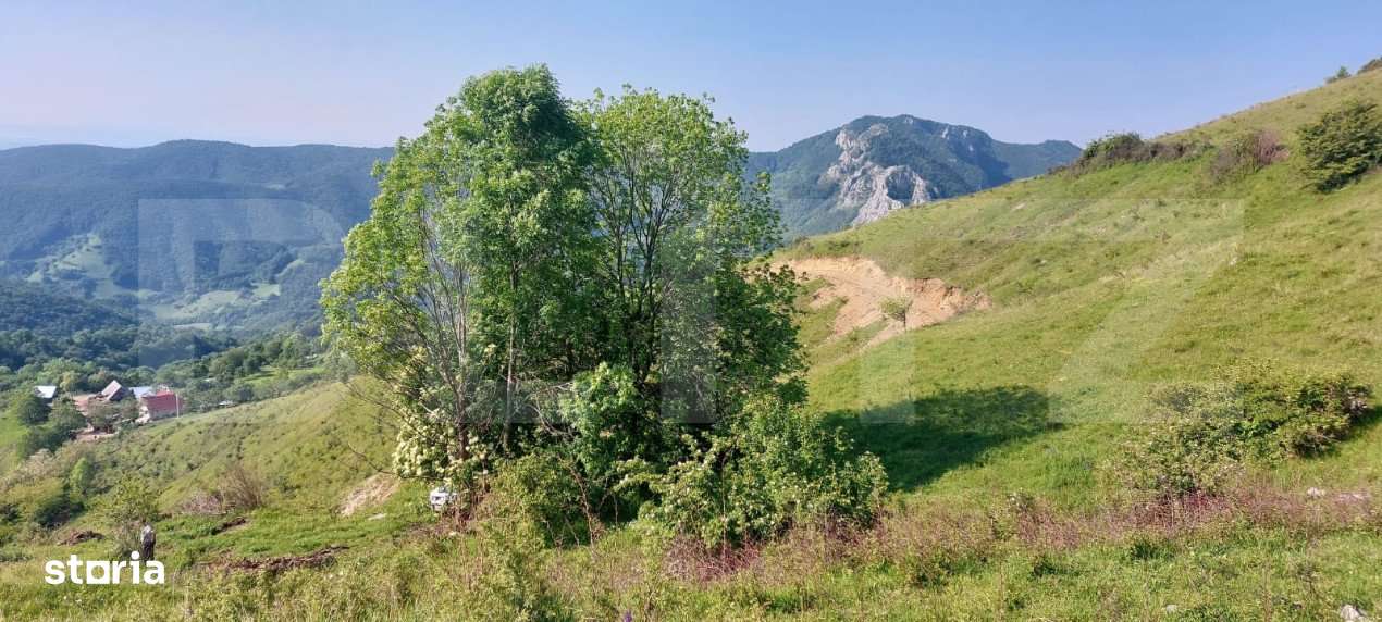 Teren extravilan pentru cabana, 3800 mp, zona-Ramet Transapuseana - Imagine principală: 3/4