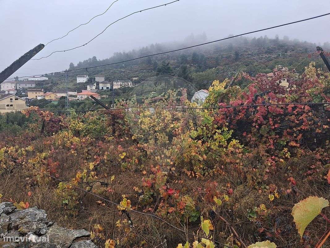 Terreno  para venda - Grande imagem: 5/5