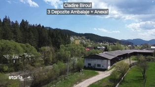 Teren 4238 mp cu 3 Hale de Depozitare si Birou! De Vanzare! - Imagine principală: 4/9