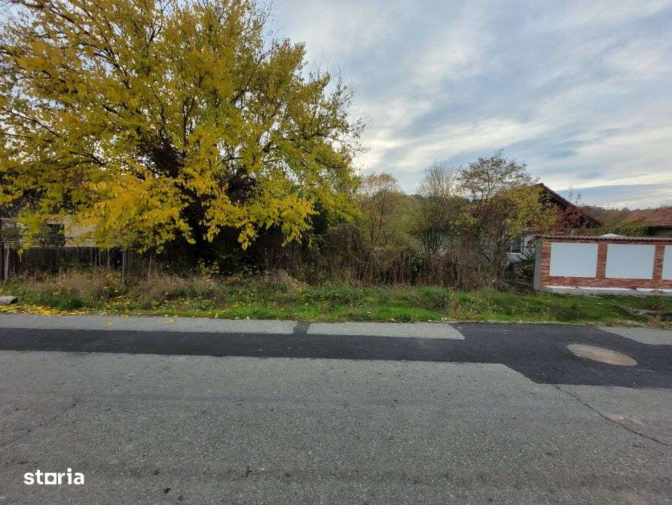 Vanzare teren intravilan, 4967  mp, utilitati, sat Rasova, Balesti.-5