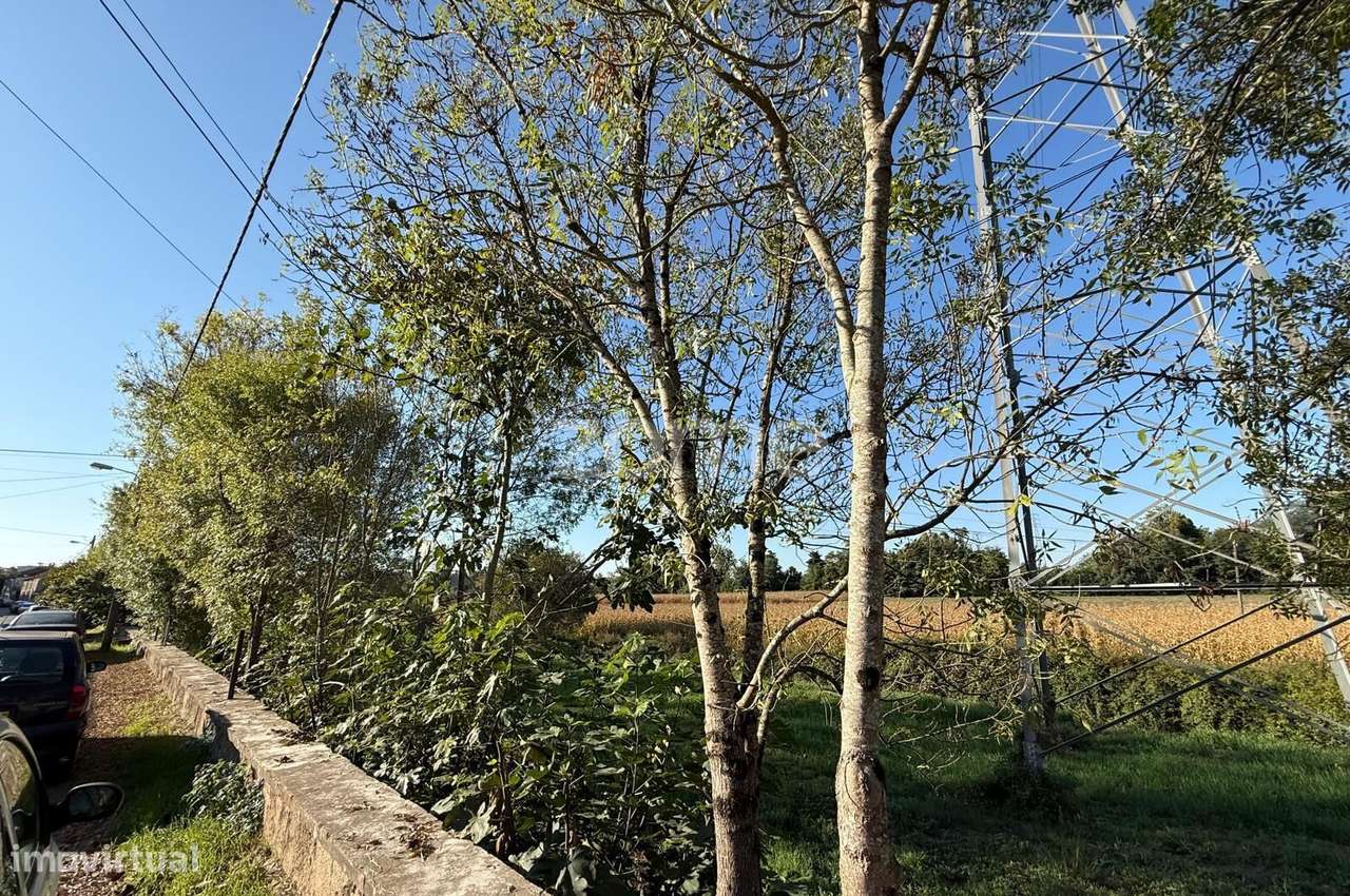 Moradia para Recuperar - Grande imagem: 5/7