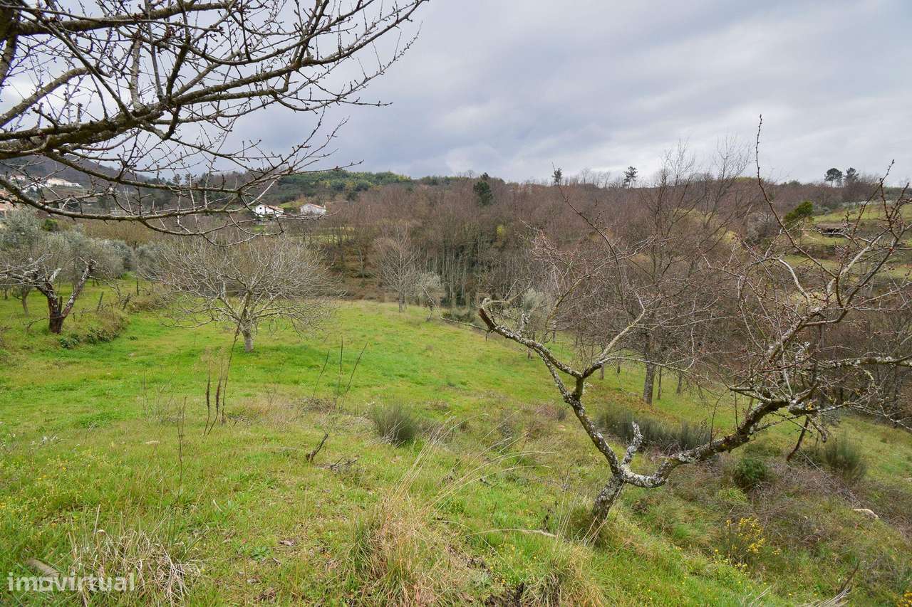 Quinta com construção em Pedra 20.000 m2 de terreno e Licença de Aloja-38