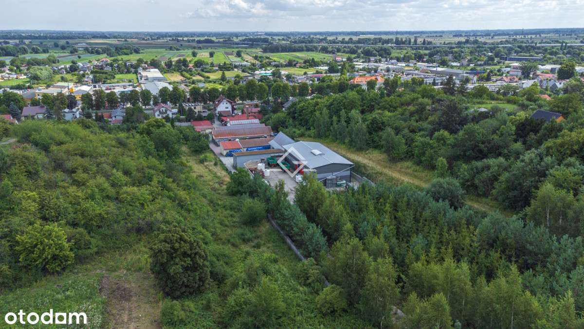 Magazyn | Hala | Chłodnia | Produkcja | Plac - Pełny obrazek: 5/12