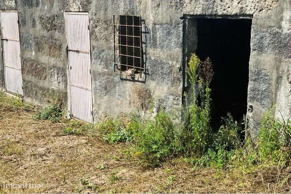 Terreno 2289/268 em Gove com 16.636m2, localizado em Baião - Grande imagem: 4/21