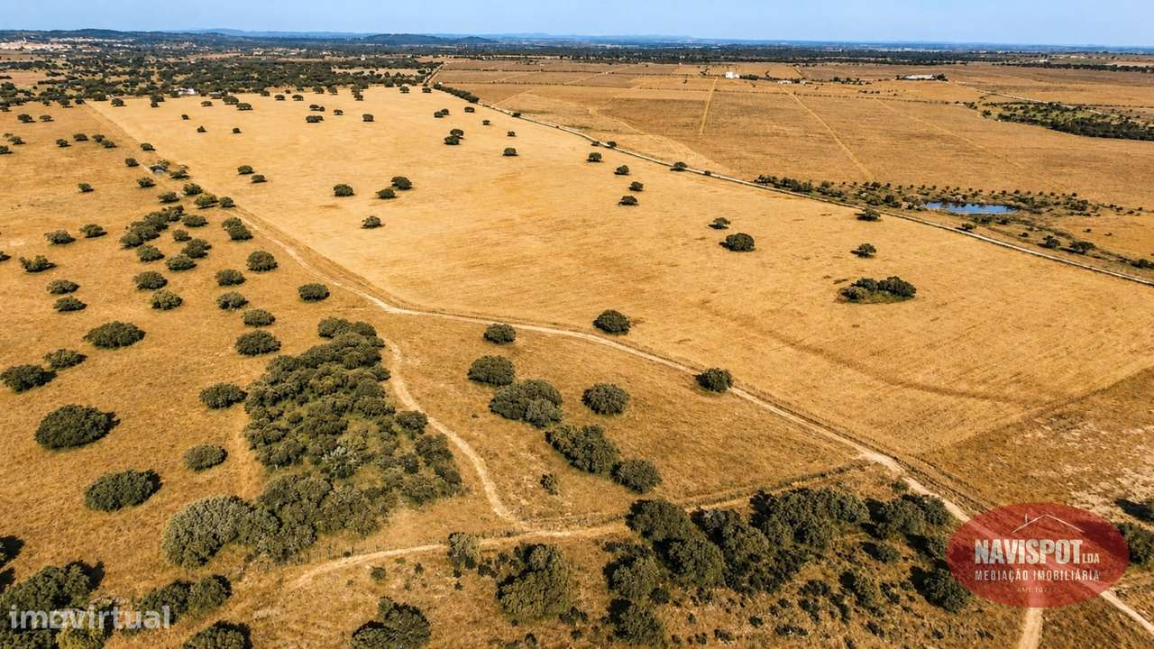 Herdade com 750 hectares no Alentejo-30