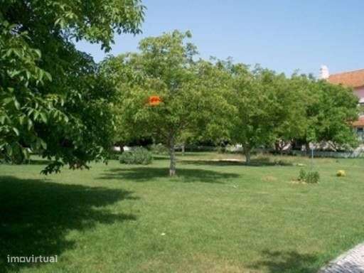 Quinta da Loureira - Urbanização e Turismo Rural-20