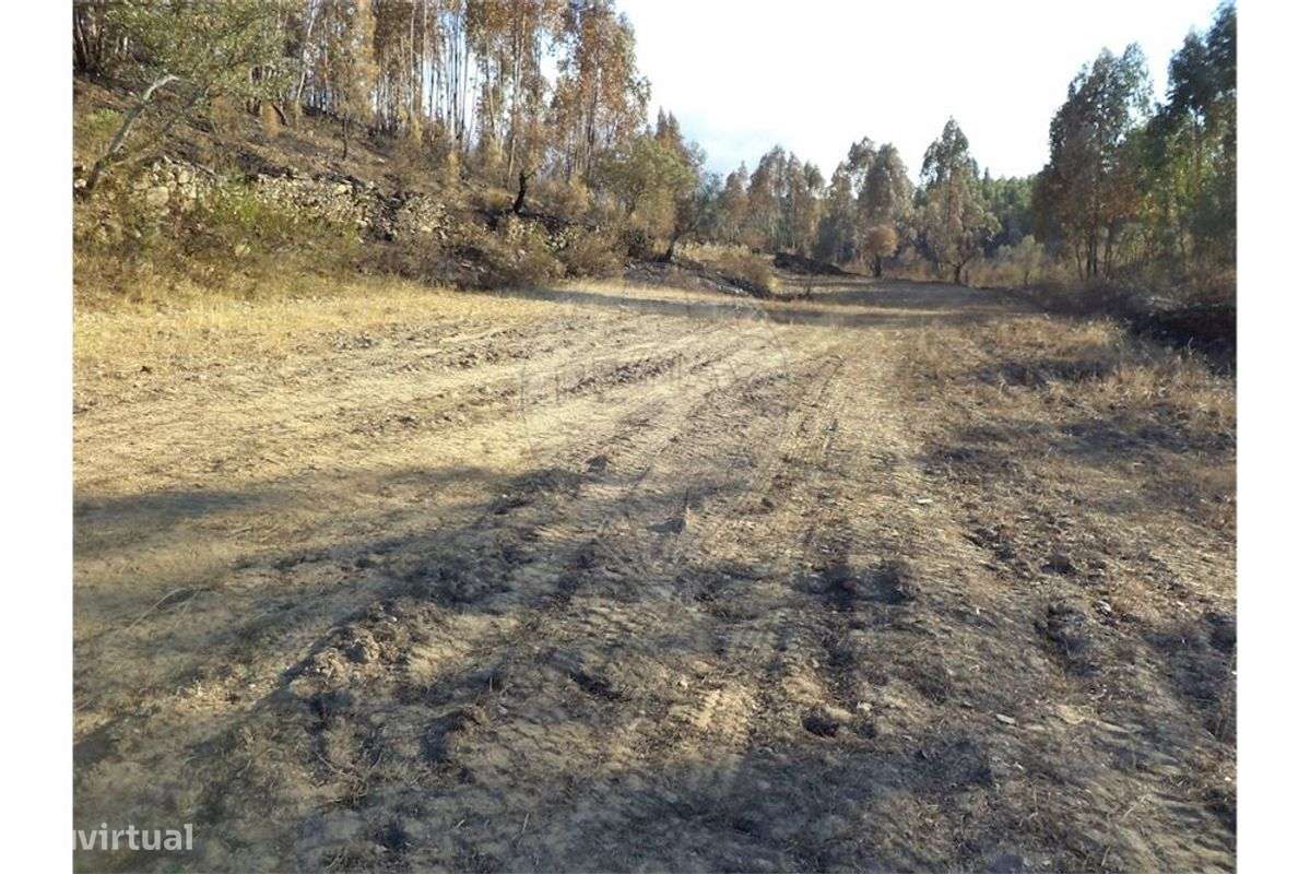 Quinta T0 para Venda - Grande imagem: 4/9