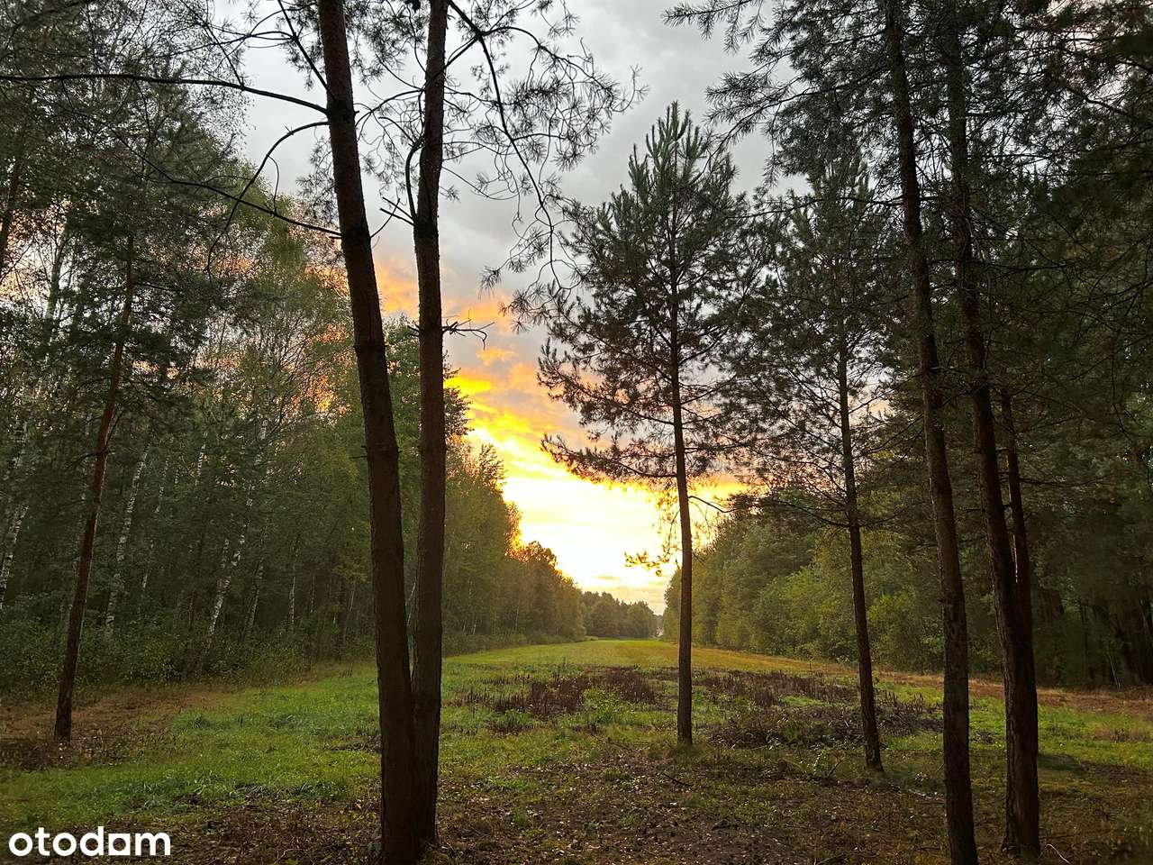 MALOWNICZE MIEJSCE BLISKO NATURY - Pełny obrazek: 4/8