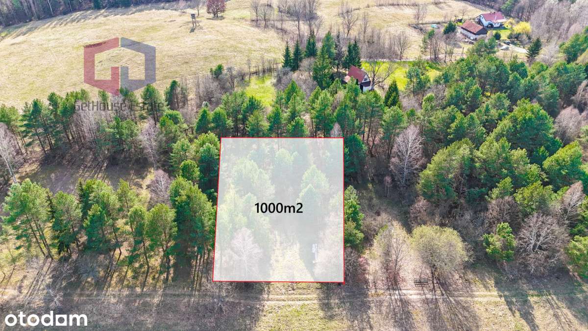 Działka 15 min od Olsztyna – cisza, lasy, media! - Pełny obrazek: 4/11