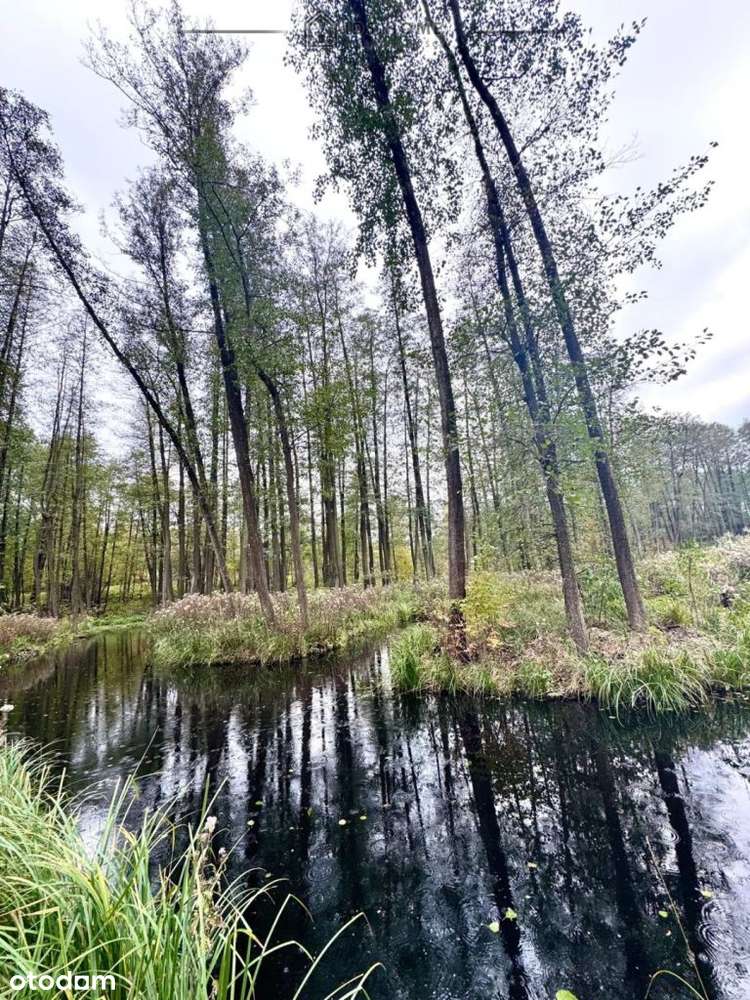 Klimatyczna Agroturystyka Własny Raj Bez Sąsiadów-15