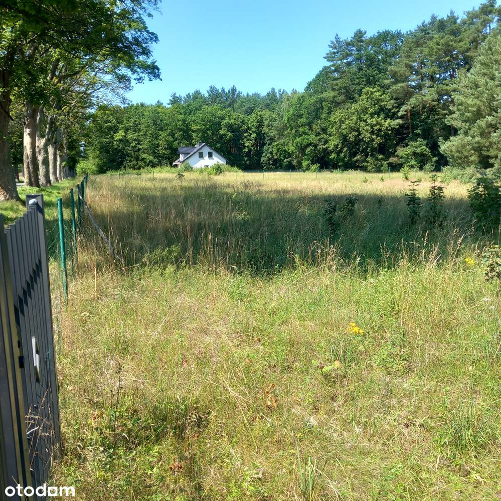 Małe budowlane przy lesie, mediach, asfaltowej drodze i szumie rzeczki-5