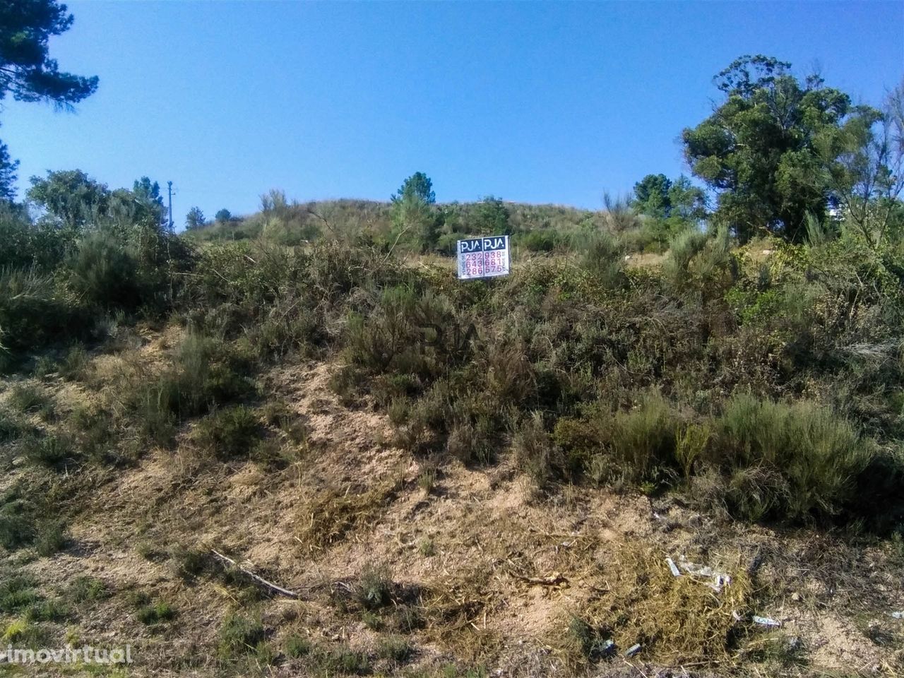 Terreno para construção em Celorico da Beira