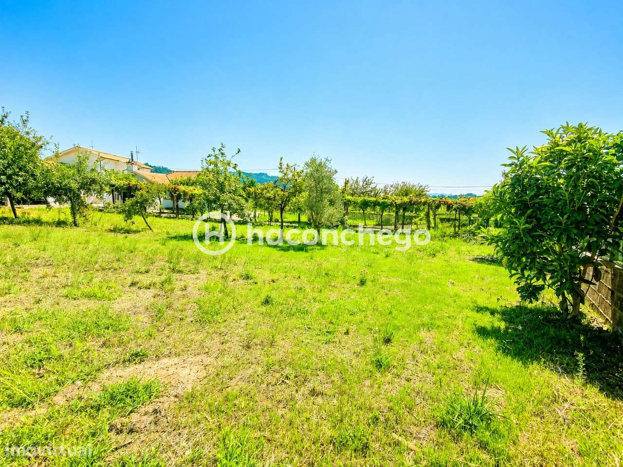 Quintinha com 2 moradias prontas a habitar – Alheira, Barcelos-24