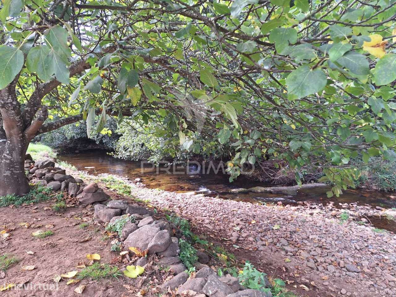 Quinta em Alegrete - Grande imagem: 5/11